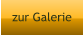 zur Galerie